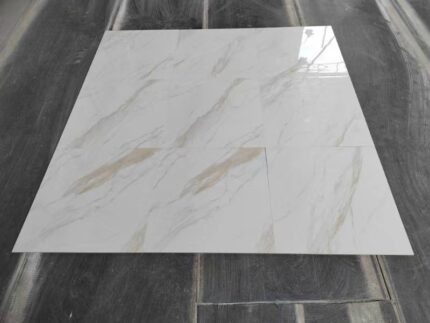CB6Y446PA