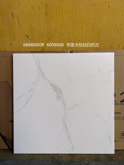 FLOOR TILE 66M6000P