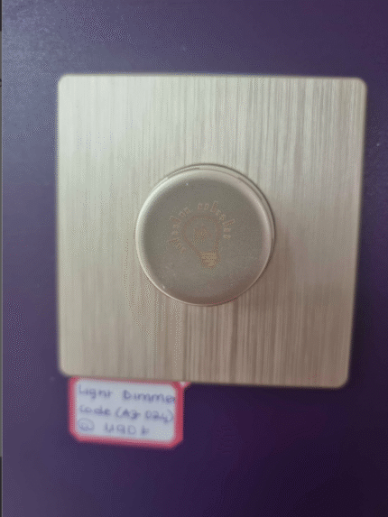 LIGHT DIMMER 1000W(A3-024)