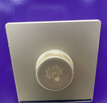 LIGHT DIMMER 1000W(A4-024)