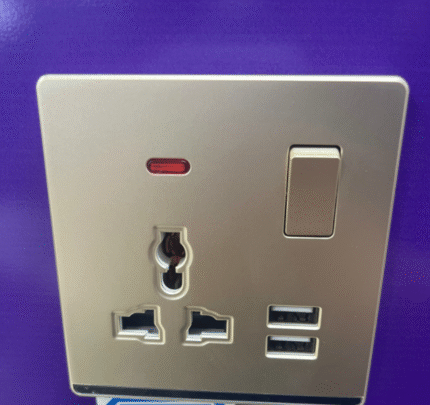 MF SWITCH SOCKET WITH NEON+2 USB(A4-010)